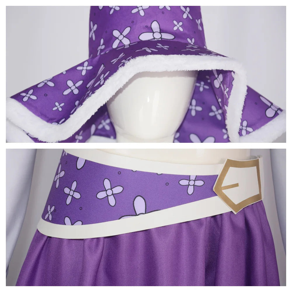 Robin Cosplay 15 Anniversary Purple Nico Robin Dress Cosplay Costume Halloween Christmas Fancy Dress 6PCS With A hat Accessories